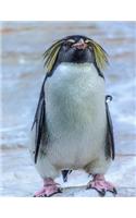 Penguin Notebook: 8.5 X 11 202 College Ruled Pages
