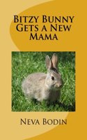 Bitzy Bunny Gets a New Mama