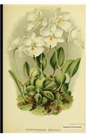 Botanical Print Journal
