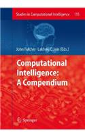 Computational Intelligence: A Compendium