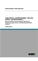 Junge Intensiv- und Mehrfachtäter - Was sind Intensiv- und Mehrfachtäter?