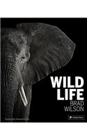Wild Life