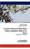 Current Status of Wild Olive (Olea Cuspidata Wall.Ex G. Don)