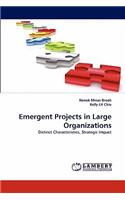 Emergent Projects in Large Organizations