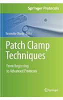 Patch Clamp Techniques: From Beginning to Advanced Protocols(Springer Protocols Handbooks)