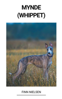 Mynde (Whippet)