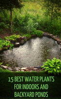 15 Best Water Plants for Indoors and Backyard Ponds