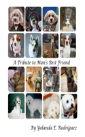 Tribute to Man's Best Friend