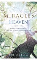 Miracles from Heaven