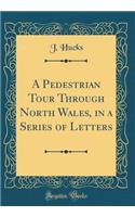 A Pedestrian Tour Through North Wales, in a Series of Letters (Classic Reprint)
