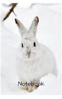 Notebook: 6" X 9" 150 page college lined soft covered journal, notebook, diary with " wild white bunny rabbit in the snow " on a matte cover