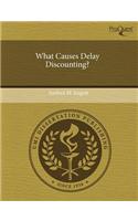 What Causes Delay Discounting?