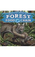 What Eats What in a Forest Food Chain