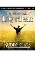 The Little Book of Big Ideas