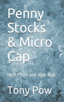 Penny Stocks & Micro Cap: High Profit and High Risk