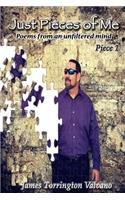 Just Pieces of Me