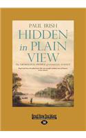 Hidden in Plain View