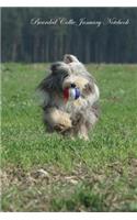 Bearded Collie January Notebook Bearded Collie Record, Log, Diary, Special Memories, To Do List, Academic Notepad, Scrapbook & More