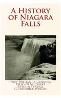 History of Niagara Falls