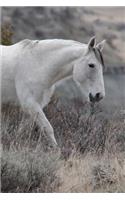 A Wild White Horse in the Foothills Journal: 150 Page Lined Notebook/Diary