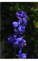 Blue Delphinium Larkspur Flower Journal: 150 Page Lined Notebook/Diary