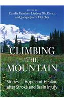 Climbing the Mountain