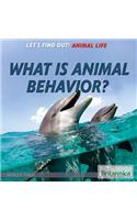 What Is Animal Behavior?