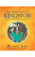 The Adventures Of Kingston