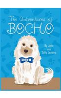 The Adventures of Bocho