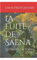 La fuite de Saena: Les terres de Torn - Livre 1