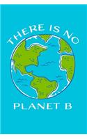 There is no Planet B