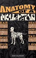 Anatomy Of A Dalmatian: Dalmatian 2020 Calendar - Customized Gift For Dalmatian Dog Owner