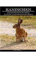 Kaninchen