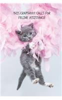 This Crapshoot Calls For Feline Assistance: Funny Gag Notebook to Write In