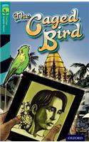 Oxford Reading Tree TreeTops Graphic Novels: Level 16: The Caged Bird