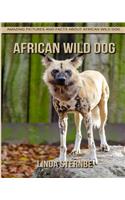 African Wild Dog