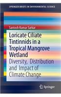 Loricate Ciliate Tintinnids in a Tropical Mangrove Wetland