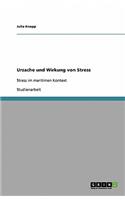 Ursache und Wirkung von Stress: Stress im maritimen Kontext