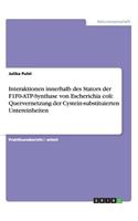 Interaktionen innerhalb des Stators der F1F0-ATP-Synthase von Escherichia coli: Quervernetzung der Cystein-substituierten Untereinheiten