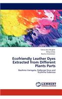 Ecofriendly Leather Dyes Extracted from Different Plants Parts
