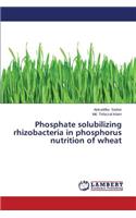 Phosphate Solubilizing Rhizobacteria in Phosphorus Nutrition of Wheat