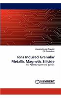 Ions Induced Granular Metallic Magnetic Silicide