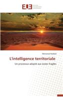 L'Intelligence Territoriale: (Omn.Univ.Europ.)