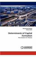 Determinants of Capital Formation