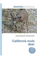 California Mule Deer
