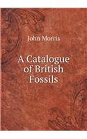 A Catalogue of British Fossils