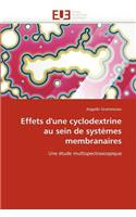 Effets d''une Cyclodextrine Au Sein de Systèmes Membranaires