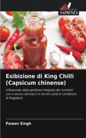 Esibizione di King Chilli (Capsicum chinense)