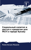 Социальный капитал и доступ к кредитам дл&#110
