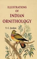 Illustrations of Indian ornithology W/B [Hardcover]